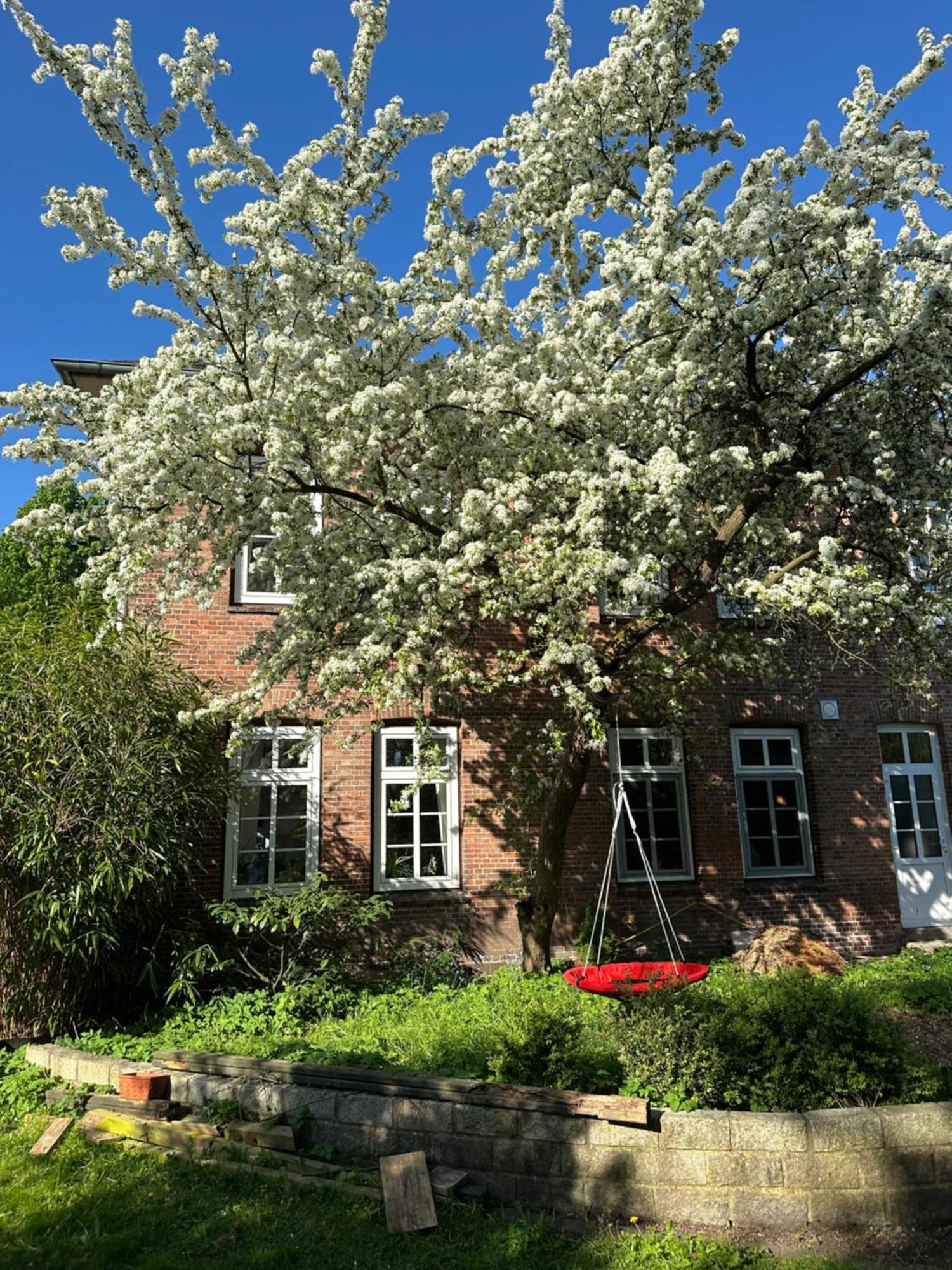 Altes Pastorat Bed & Breakfast Barmstedt Eksteriør bilde